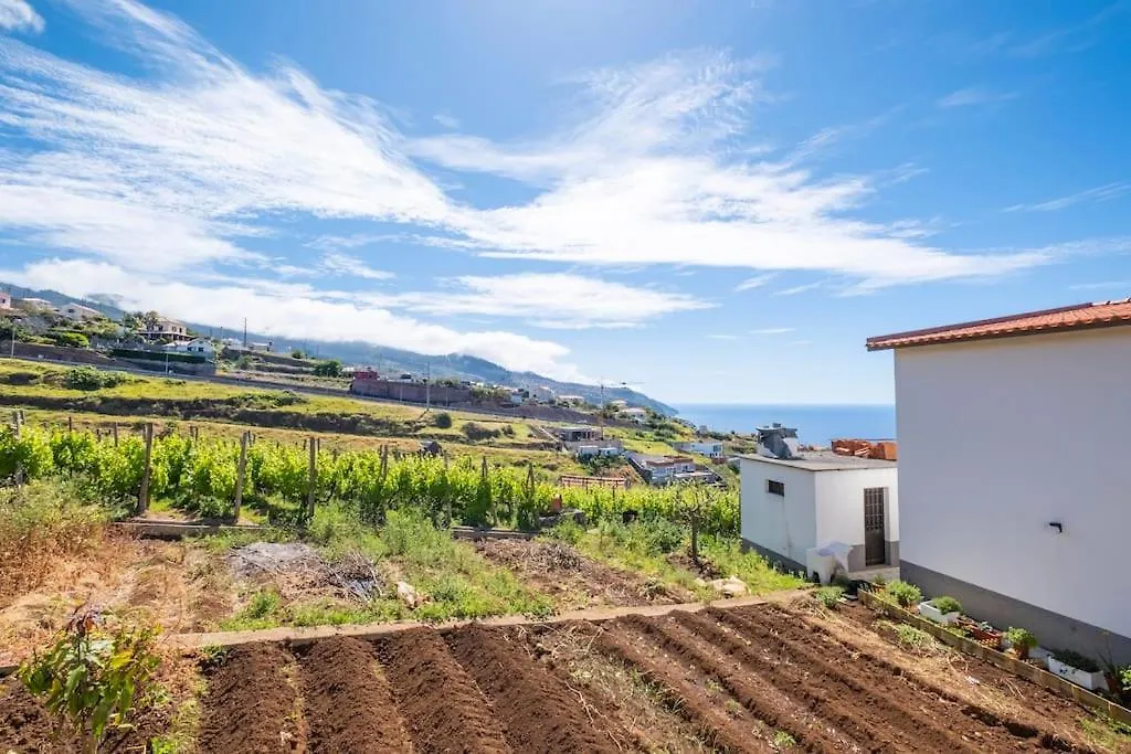 Villa Pequenino By Galmi Estreito Da Calheta 0*,  البرتغال